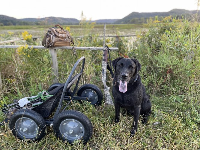 6520FFF9-CF88-40C6-8CFD-D41BDB82A3CD.jpeg 6520FFF9-CF88-40C6-8CFD-D41BDB82A3CD.jpeg