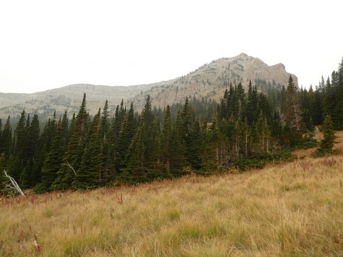 Choteau Mountain.JPG Choteau Mountain.JPG