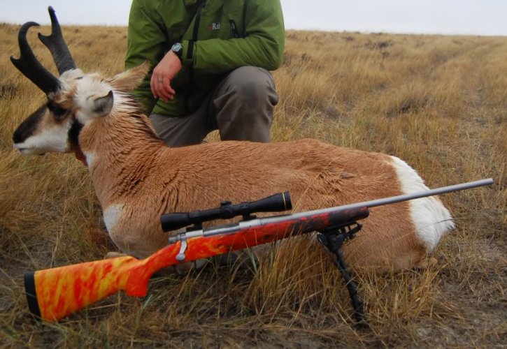 DSC_0246crop.jpg DSC_0246crop.jpg