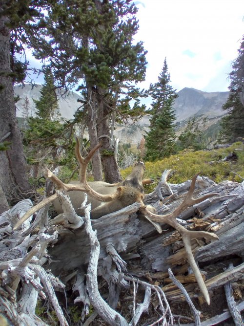 20210911_154947.jpg 20210911_154947.jpg