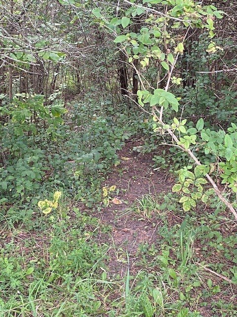trail.jpg trail.jpg