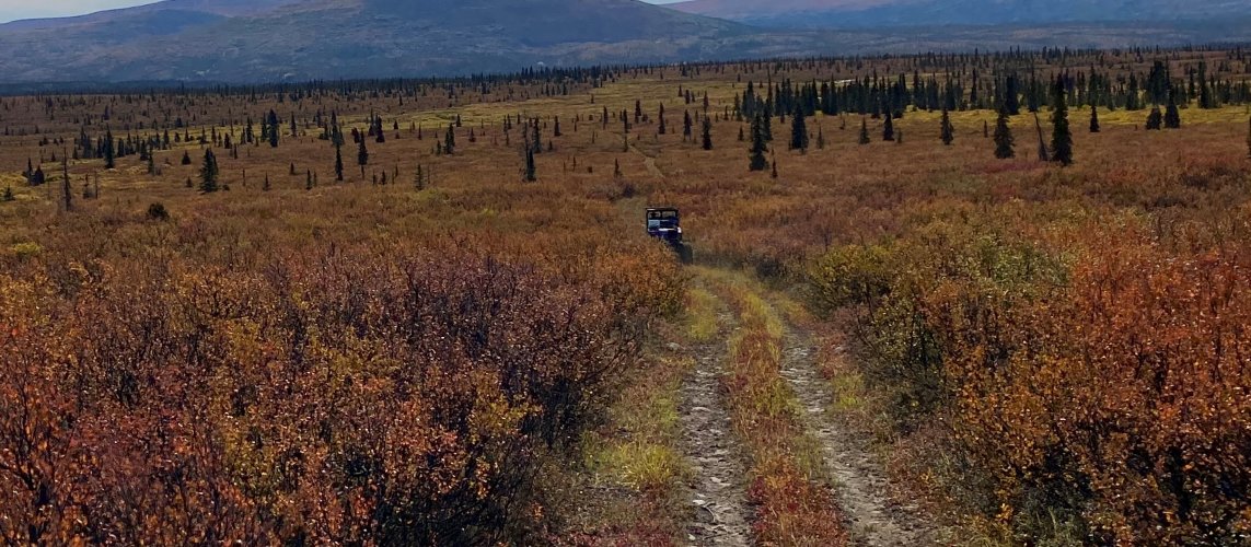 Moose Buggy trail  (2).JPG