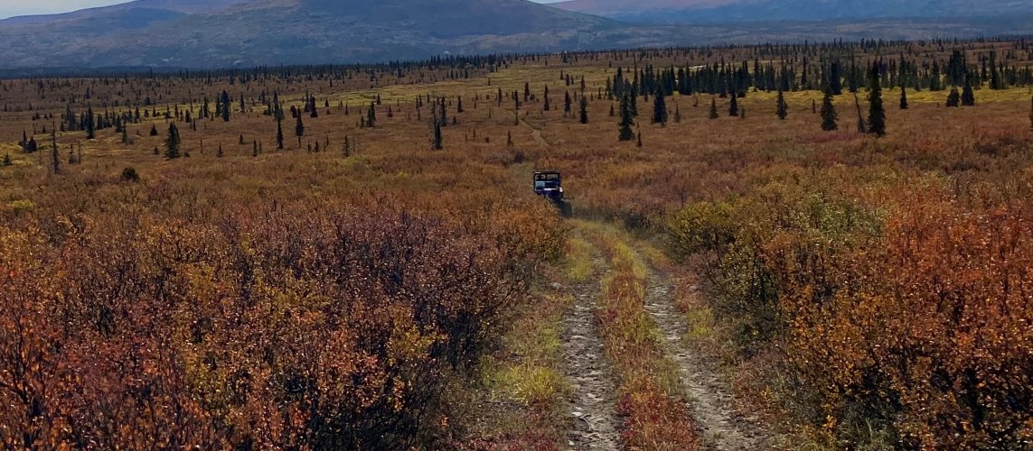 Moose Buggy trail (2).JPG Moose Buggy trail (2).JPG