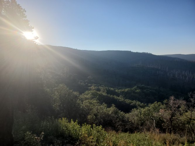 20210914_073550.jpg 20210914_073550.jpg