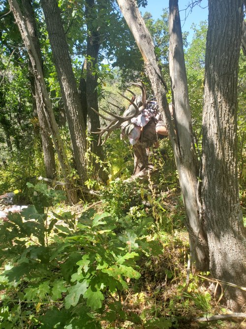 20210914_112917.jpg 20210914_112917.jpg