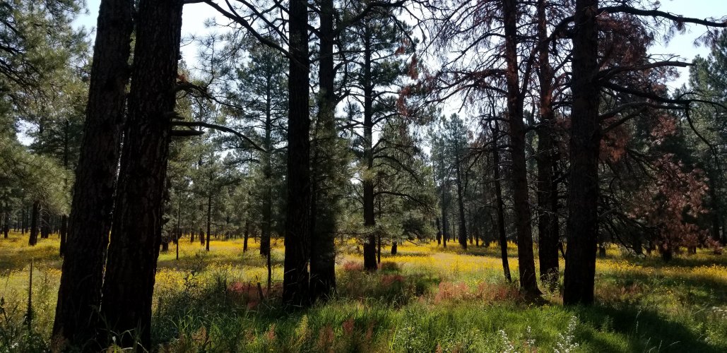 20210915_093439.jpg 20210915_093439.jpg