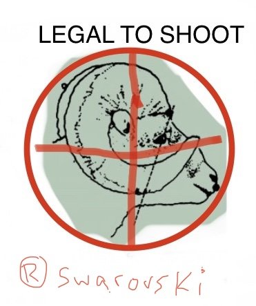 3072C486-C7CB-4AE6-BFCD-AA0FB492EB89.jpeg 3072C486-C7CB-4AE6-BFCD-AA0FB492EB89.jpeg