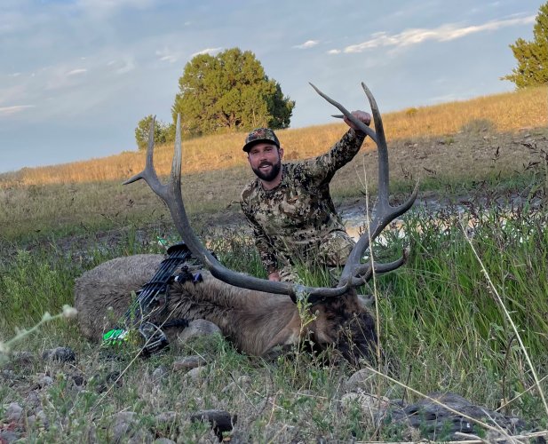 gila elk.jpg gila elk.jpg