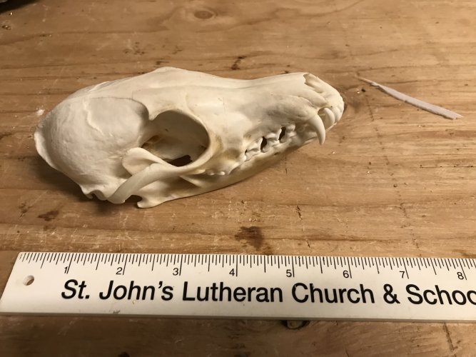 1632420688343.jpeg 1632420688343.jpeg