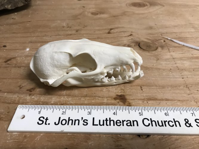 1632420738096.jpeg 1632420738096.jpeg