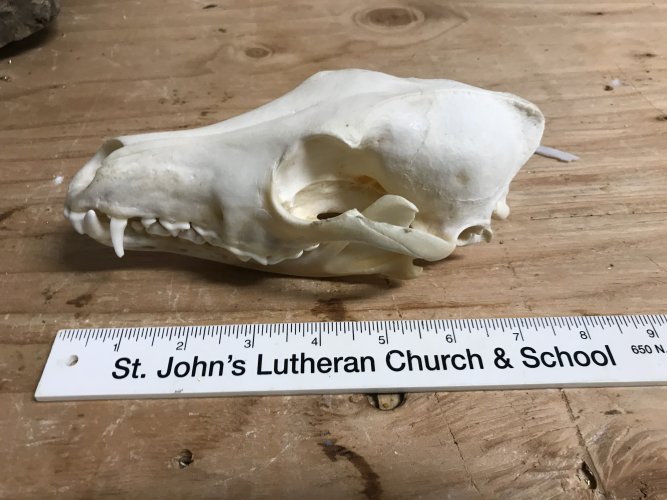 1632420779705.jpeg 1632420779705.jpeg