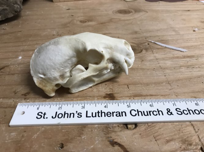 1632420858236.jpeg 1632420858236.jpeg