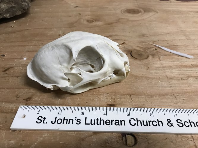 1632420926540.jpeg 1632420926540.jpeg