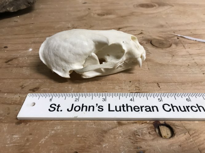 1632421001359.jpeg 1632421001359.jpeg