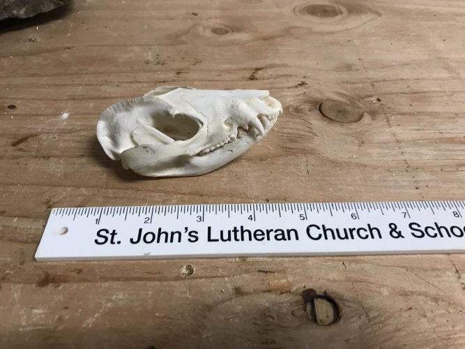 1632421073379.jpeg 1632421073379.jpeg