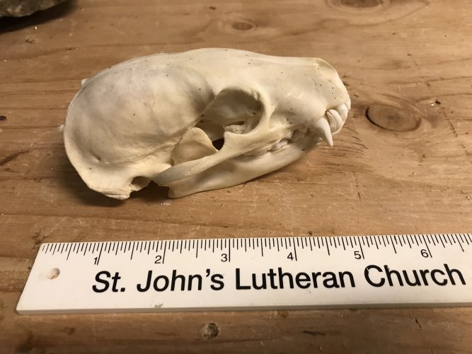 1632421147560.jpeg 1632421147560.jpeg