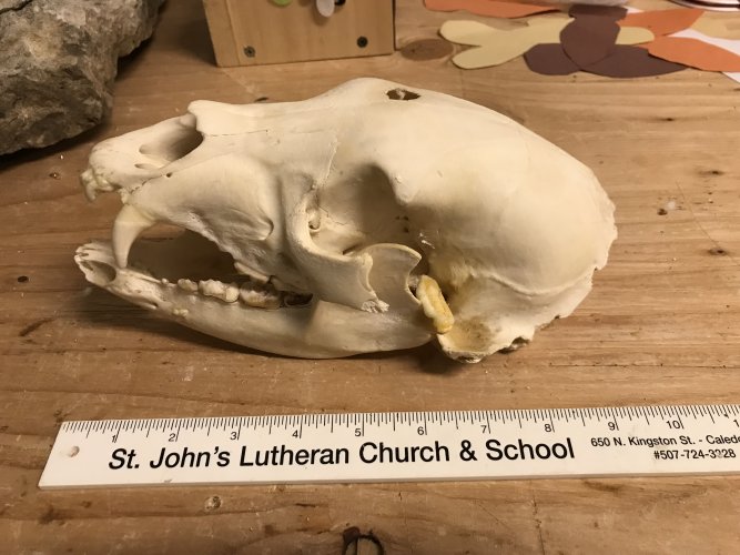 1632421421894.jpeg 1632421421894.jpeg