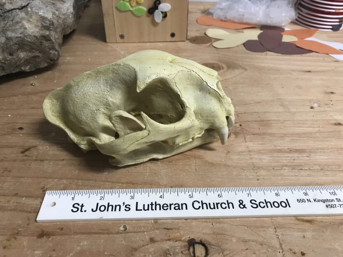 1632421633307.jpeg 1632421633307.jpeg