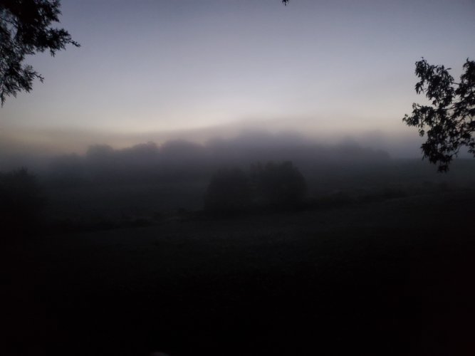 20210924_062652.jpg
