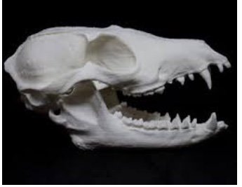 F1B2A4E2-9113-4624-8EFF-4A1ACBC80F15.jpeg F1B2A4E2-9113-4624-8EFF-4A1ACBC80F15.jpeg