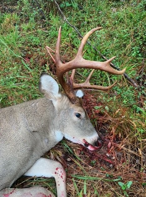 9 point 3.jpg 9 point 3.jpg