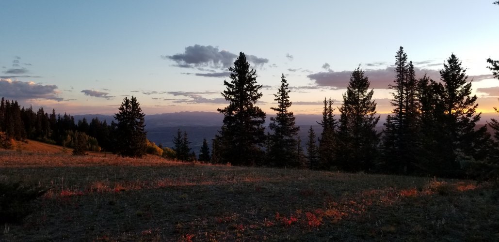 20210914_075555.jpg