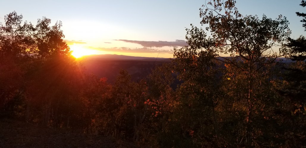 20210914_075528.jpg