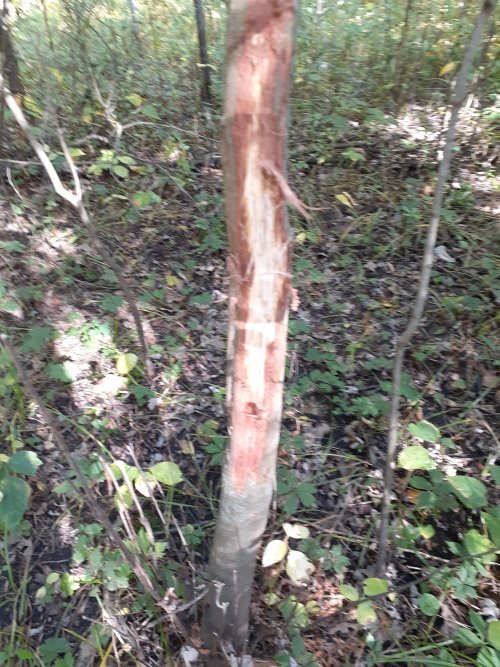 20210926_101136.jpg 20210926_101136.jpg