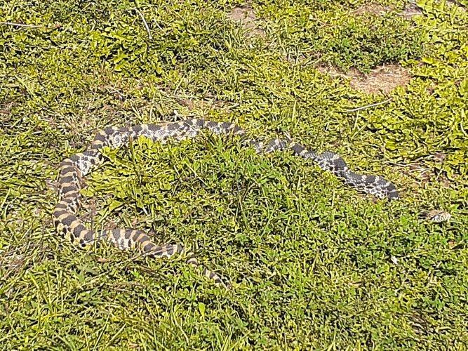 20210926_123548.jpg 20210926_123548.jpg