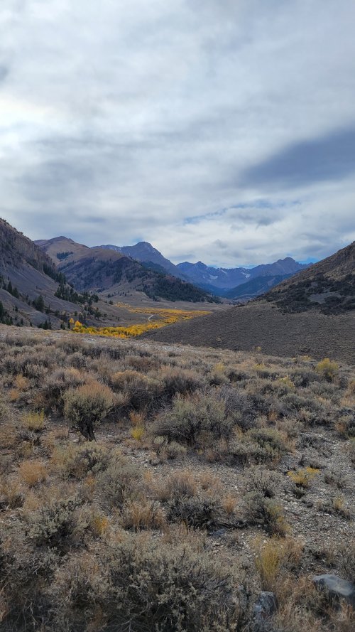 20210928_141640.jpg 20210928_141640.jpg