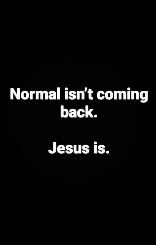 232207802_4591350_623996136501929jB_FB7536_n.jpg