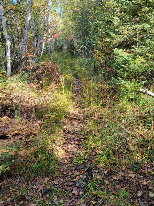 20210930 Trail to Range Lake.jpg
