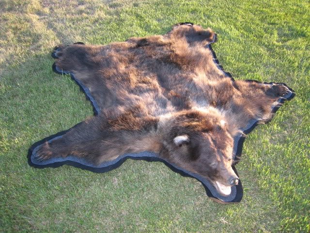 100_1300-1.jpg 100_1300-1.jpg
