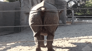 200.gif 200.gif