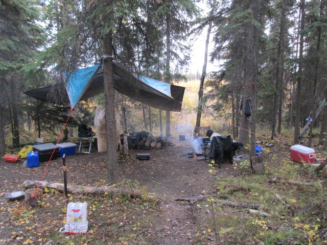 duck_camp.JPG