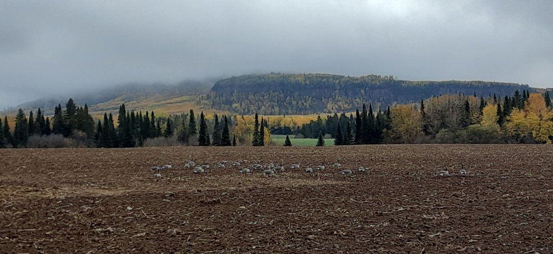 20211009_115448.jpg