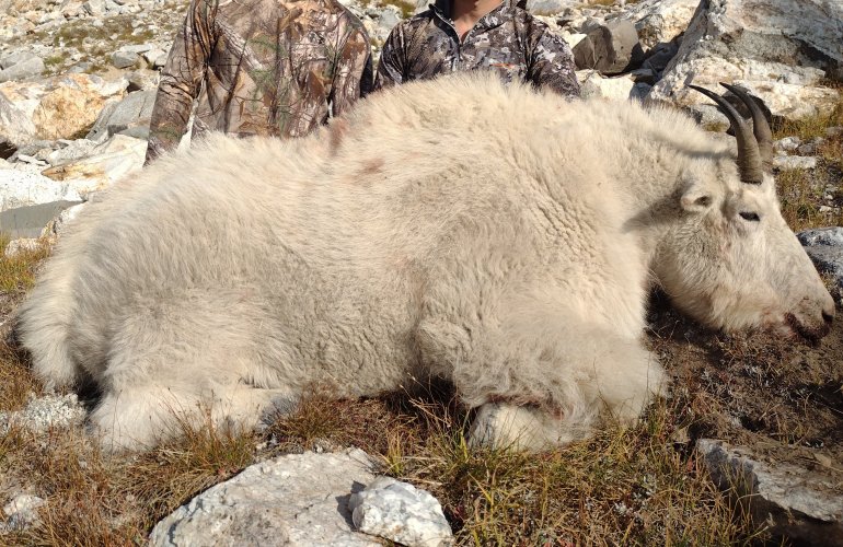 IMG_20210904_174334809~2.jpg IMG_20210904_174334809~2.jpg