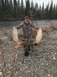 moose2.jpg moose2.jpg