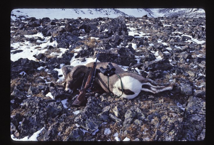 BSH_R02_F08_0287P09_kill with gear, view down chute_H_ASF.jpg