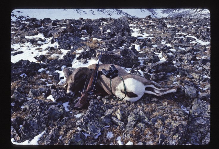BSH_R02_F08_0287P09_kill with gear, view down chute_H_ASF.jpg BSH_R02_F08_0287P09_kill with gear, view down chute_H_ASF.jpg