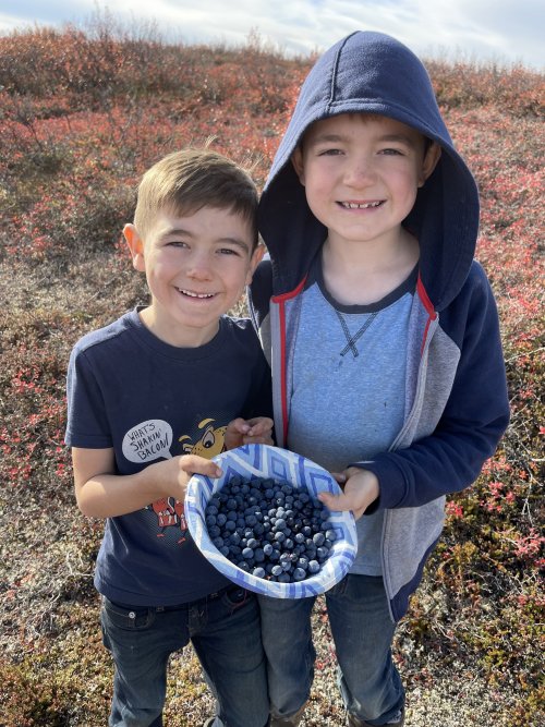 blueberry pick.JPG blueberry pick.JPG