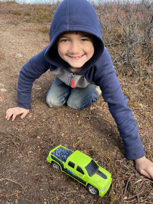 blueberry pick 1.JPG blueberry pick 1.JPG