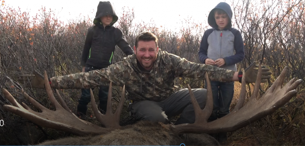 moose.png moose.png