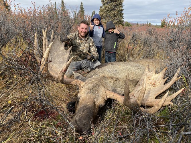 61 inch moose.JPG 61 inch moose.JPG