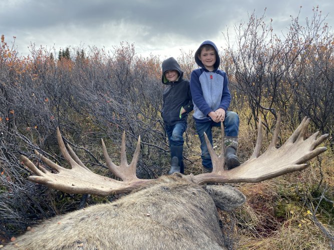 61 inch AK moose.JPG 61 inch AK moose.JPG