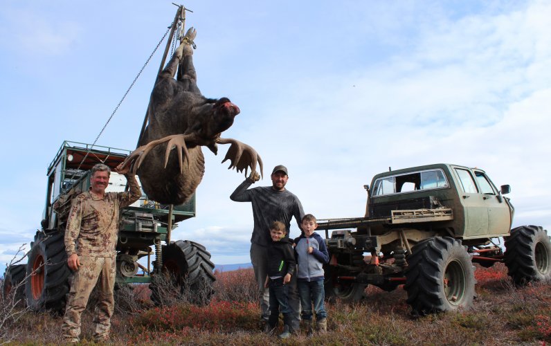 Alaska Moose Buggy 1.JPG