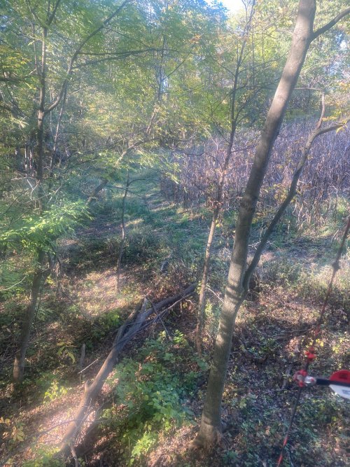 IMG_2567.jpg IMG_2567.jpg