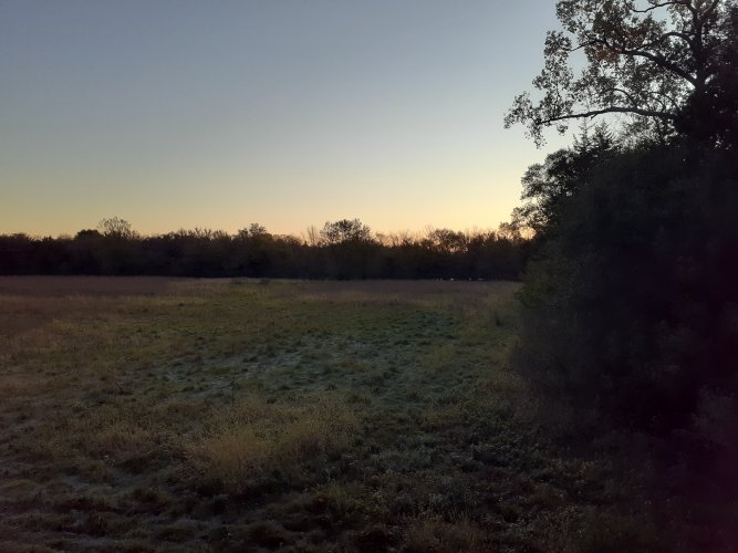 20211016_073138.jpg 20211016_073138.jpg