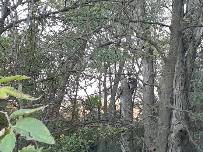 20211016_073425.jpg 20211016_073425.jpg