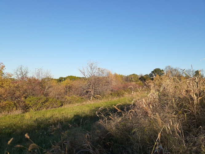 20211018_171040.jpg 20211018_171040.jpg